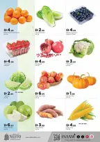 الانتقال إلى الصفحة 2 من 12