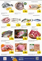 الانتقال إلى الصفحة 17 من 41