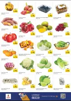 الانتقال إلى الصفحة 2 من 16