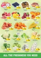 الانتقال إلى الصفحة 2 من 29