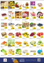 الانتقال إلى الصفحة 4 من 4