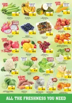 الانتقال إلى الصفحة 2 من 43