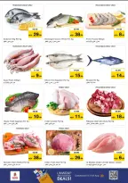 الانتقال إلى الصفحة 18 من 43