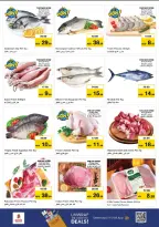 الانتقال إلى الصفحة 16 من 29