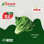 الانتقال إلى الصفحة 10 من 11