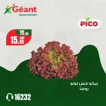 الانتقال إلى الصفحة 9 من 11