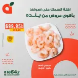 الانتقال إلى الصفحة 11 من 14