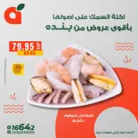 الانتقال إلى الصفحة 10 من 14