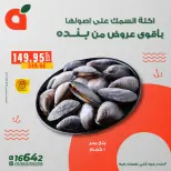 الانتقال إلى الصفحة 9 من 14