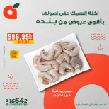 الانتقال إلى الصفحة 13 من 14