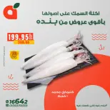 الانتقال إلى الصفحة 8 من 14