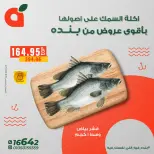 الانتقال إلى الصفحة 6 من 14