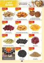 الانتقال إلى الصفحة 9 من 28