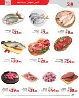 الانتقال إلى الصفحة 3 من 4