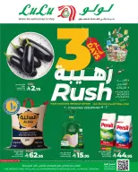 الانتقال إلى الصفحة 1 من 4