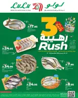 الانتقال إلى الصفحة 5 من 6