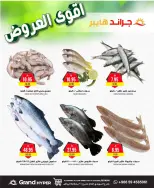 الانتقال إلى الصفحة 6 من 7