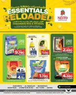 Nesto Bahrain Offers from 7 to 17 December 2025 Essentials offers with a fresh look