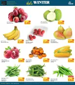 الانتقال إلى الصفحة 5 من 10