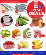 الانتقال إلى الصفحة 1 من 1