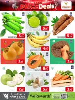 الانتقال إلى الصفحة 7 من 15