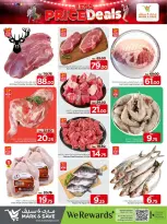 الانتقال إلى الصفحة 5 من 15