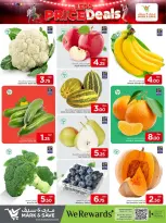 الانتقال إلى الصفحة 9 من 15