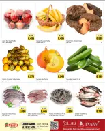 الانتقال إلى الصفحة 3 من 3