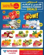 الانتقال إلى الصفحة 1 من 4