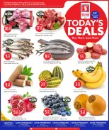 الانتقال إلى الصفحة 1 من 2