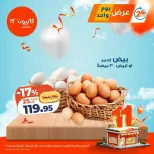 الانتقال إلى الصفحة 1 من 4