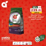 الانتقال إلى الصفحة 9 من 10