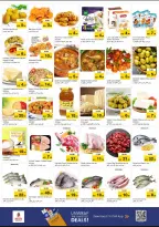 الانتقال إلى الصفحة 6 من 10