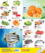 الانتقال إلى الصفحة 2 من 4