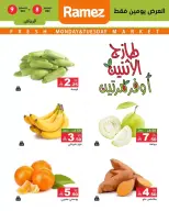 الانتقال إلى الصفحة 2 من 6