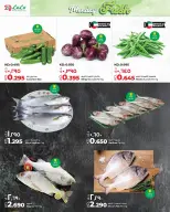 الانتقال إلى الصفحة 3 من 5