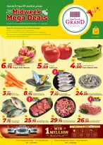 الانتقال إلى الصفحة 1 من 1