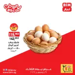 الانتقال إلى الصفحة 3 من 15