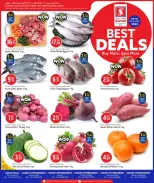 الانتقال إلى الصفحة 1 من 3