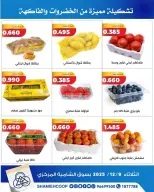 Shamieh coop Kuwait Offers Tuesday 9 December Vegetable and fruit offers - Page 2