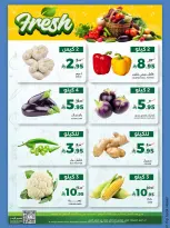 الانتقال إلى الصفحة 14 من 14