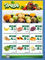 الانتقال إلى الصفحة 12 من 14