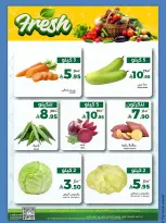 الانتقال إلى الصفحة 13 من 14