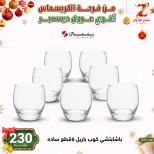 Center El Zelzal Egypt Offers from 9 to 15 December 2025 December's best deals