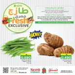Ofertas de Nesto Oman de 9 a 10 diciembre 2025 Ofertas nuevas y exclusivas - Página 1