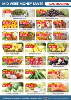 الانتقال إلى الصفحة 2 من 4