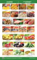 الانتقال إلى الصفحة 3 من 4