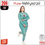 الانتقال إلى الصفحة 17 من 43