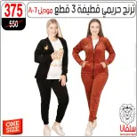 الانتقال إلى الصفحة 12 من 43