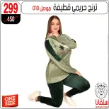 الانتقال إلى الصفحة 15 من 43